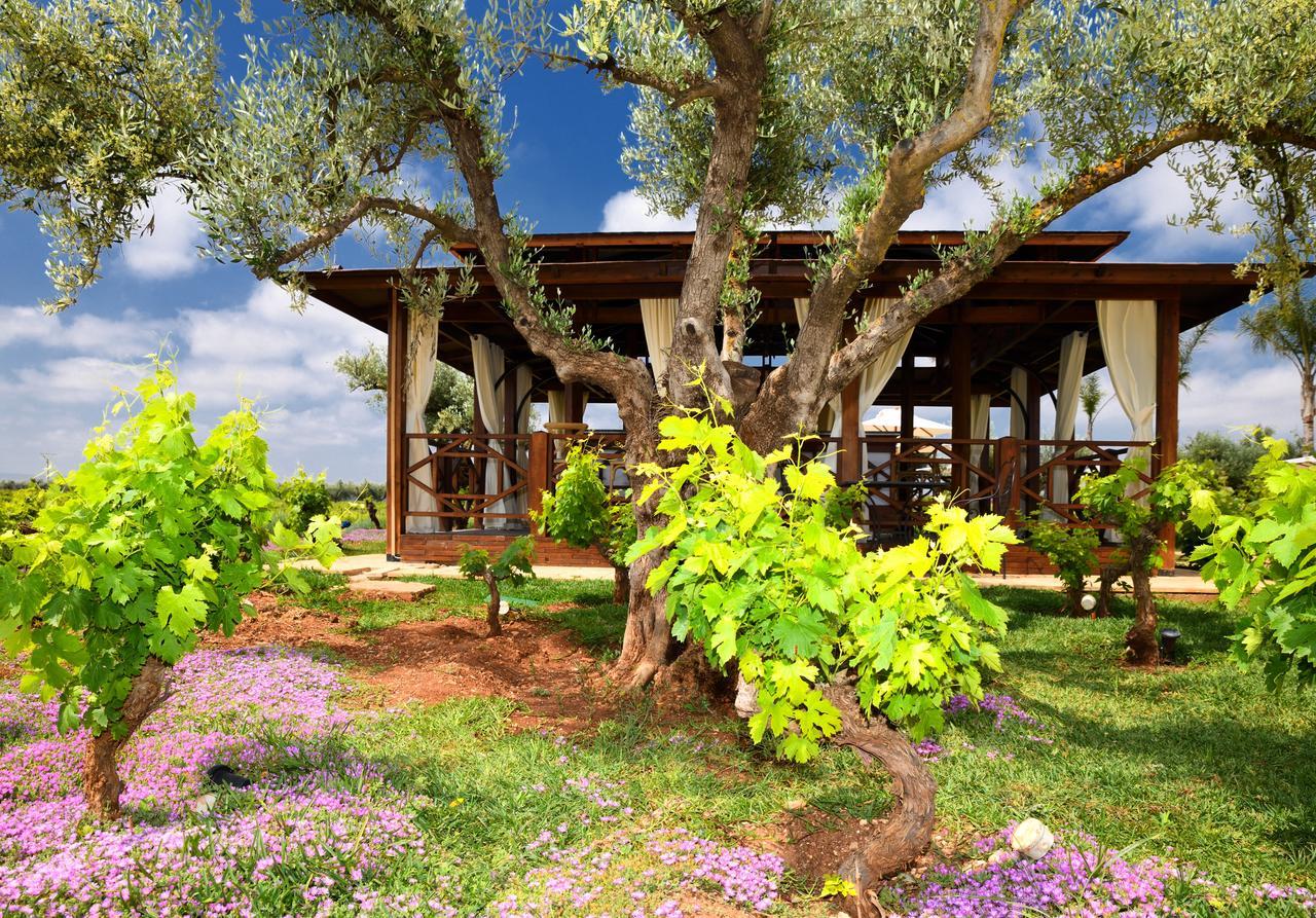 Chateau Roslane Boutique Hotel & Spa Meknès Exteriér fotografie